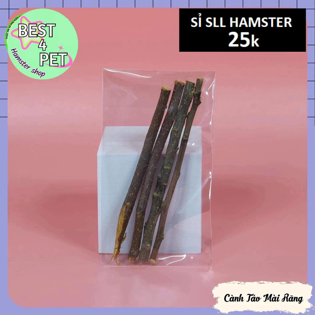 Cành Táo Mài Răng Hamster Bó Lớn 13-15 que
