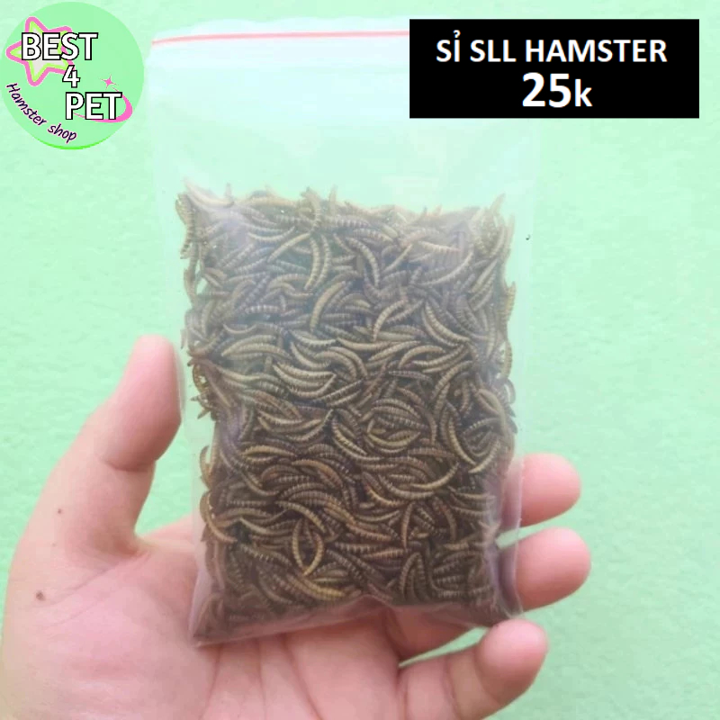 Sâu Gạo MINI Sấy thức ăn hamster