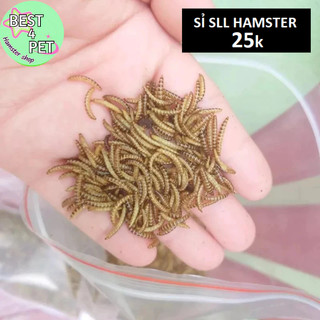 Sâu Gạo MINI Sấy thức ăn hamster