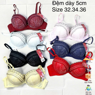 Áo lót nữ xương cá có gọng, mút dày 5cm định hình, nâng đẩy ngực đẹp, chống chảy xệ Ms:8616