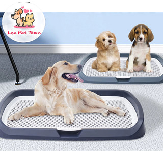Khay Vệ Sinh Cho Chó Thành Thấp Size Lớn 65x50x6.5cm Và Thành Cao 53x45x13cm