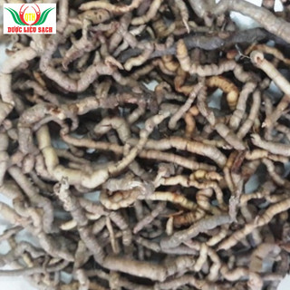 01 Kg ba kích rừng chuẩn Ba Chẽ, đã tách bỏ lõi, bảo quản tửu.