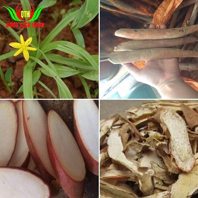 01 Kg Sâm cau đỏ khô thái lát