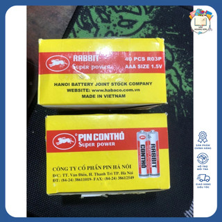 Pin Con Thỏ AAA Điều Khiển (Hộp 40 Viên)