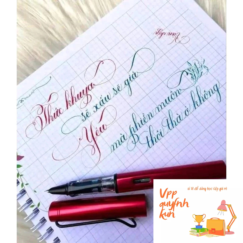 Combo 2 chiếc Bút máy luyện chữ đẹpT001 ngòi lá tre viết tách đôi tạo thành đậm(T01, 001)