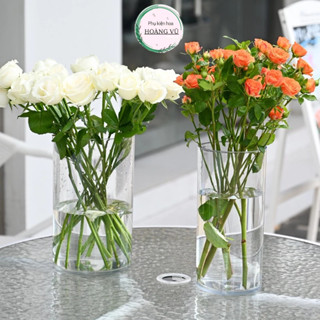 Bình hoa trụ tròn trong suốt meca bình bông meka ống tròn mica to cắm hoa thả cá thuỷ sinh decor nhựa acrylic không vỡ
