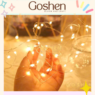 Đèn Led Fairy Light Trang Trí