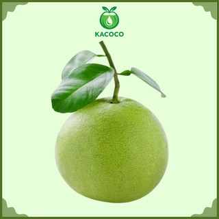 1 Trái Bưởi da xanh miền tây nguyên vỏ KACOCO - Mỏng vỏ, ngọt nhiều giàu vitamin C (không cuốn)