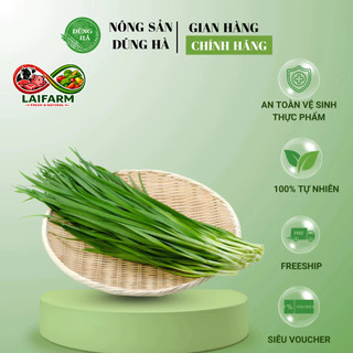 [Laifarm - Hỏa tốc HN] LÁ HẸ TƯƠI DŨNG HÀ - Lá hẹ đóng túi tươi sạch mỗi ngày