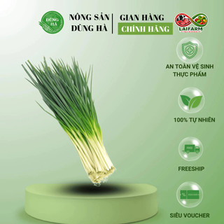 [Laifarm] [Hỏa tốc HN&HCM] HÀNH LÁ tươi ngon - Hàng chất lượng, ship hoả tốc - Rau gia vị cho món ăn