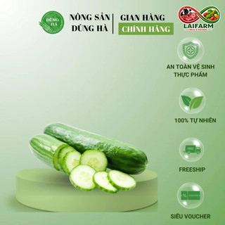 [Laifarm] [Hỏa tốc HN&HCM] DƯA CHUỘT (DƯA LEO) tươi ngon, đảm bảo an toàn vệ sinh thực phẩm, rửa sạch ăn luôn trực tiếp
