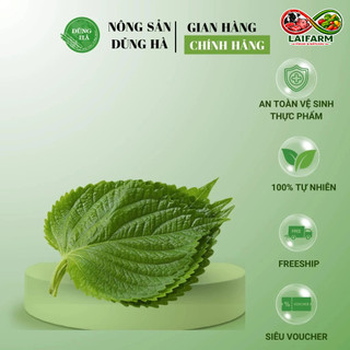 [Laifarm] [Hỏa tốc HN&HCM] LÁ VỪNG HÀN QUỐC ăn kèm đồ nướng siêu ngon, cung cấp nhiều dưỡng chất