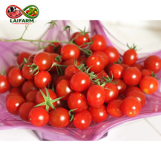 [Nhập MII2430061 giảm 15% đơn 0Đ] [HỎA TỐC HN] - Quả cà chua bi đỏ ngọt 1kg - Rau Củ Đà Lạt Deli