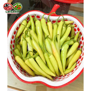 [Laifarm - Hỏa tốc HN] ớt sừng Huế 💥SIÊU CAY💥 1kg chuẩn Huế to giòn thơmNgẫu nhiên
