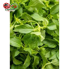 [Laifarm - Hỏa tốc HN] Lá é trắng đặc sản Tây Nguyên 1kg - Rau Củ Đà Lạt Deli