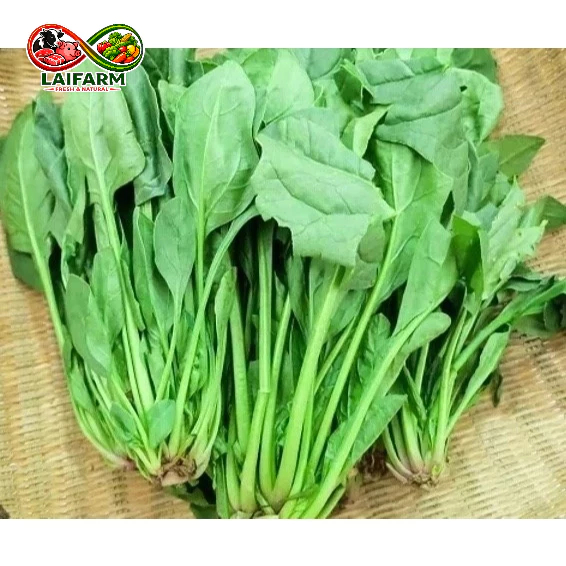 [Laifarm] [HỎA TỐC HN] - Rau cải bó xôi tươi sạch 1kg - Rau Củ Đà Lạt Deli