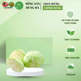 [Laifarm - Hỏa tốc HN] Bắp Cải Trắng Tươi – Rau Sạch Đà Lạt – Nông Sản Dũng Hà