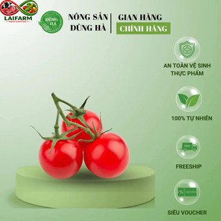 [Laifarm - Hỏa tốc HN] CÀ CHUA BI ĐỎ, VÀNG tuyển chọn, vừa ngon vừa an toàn cho sức khỏe