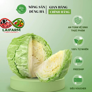 [Laifarm - Hỏa tốc HN] Bắp cải tươi - Bắp cải ngon, hàng nhập mỗi ngày, bọc túi cẩn thận, ship hoả tốc