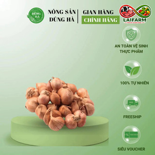 [Laifarm] [Hỏa tốc HN&HCM] HÀNH TA KHÔ KINH BẮC - HÀNH TÀU KHÔ làm hành phi thơm nức mũi