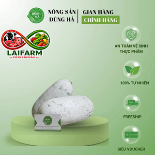 [Laifarm - Hỏa tốc HN] BÍ THƠM BẮC KẠN thơm ngon rõ ng.uồn gốc xuất xứ, thanh mát cho cơ thể (SHIP HỎA TỐC)