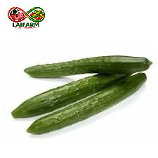 [Laifarm - Hỏa tốc HN] Quả dưa leo Nhật giòn ngọt 1kg - Rau Củ Đà Lạt Deli