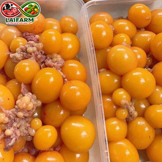 [Laifarm] [HỎA TỐC HN] Trứng gà non 1kg thơm ngon bổ dưỡng