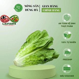 [Laifarm - Hỏa tốc HN] XÀ LÁCH ROMAINE - Rau tươi ngon, chất lượng - Dùng làm salad, rau ăn kèm món nướng,..