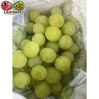 [Laifarm - Hỏa tốc HCM] Nho xanh Úc hộp 1 kg - Hàng nhập khẩu chính ngạch, đầy đủ giấy tờ hóa đơn