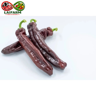 [Laifarm - Hỏa tốc HN] Ớt Palermo Socola Rau củ đà lạt deli