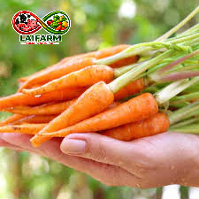 [Laifarm - Hỏa tốc HN] Củ cà rốt baby giòn ngọt 1kg - Rau Củ Đà Lạt Deli