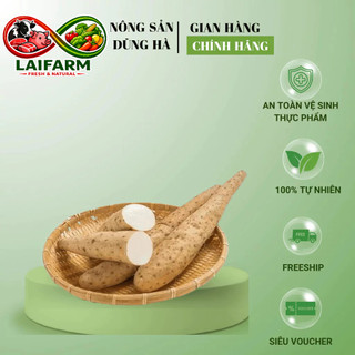 [Laifarm - Hỏa tốc HN] CỦ MÀI tươi, đặc sản Tây Bắc, hỗ trợ tăng cường sức khỏe