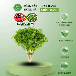 [Laifarm] [Hỏa tốc HN&HCM] MÙI TA tươi ngon - Hàng chất lượng, chuẩn mùi ta thơm - Rau gia vị cho các món ăn