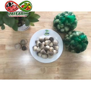 [Laifarm - Hỏa tốc HN] OCOP 4 sao, Nấm Rơm tươi 500g, cô Phương nấm, Chuẩn siêu thị