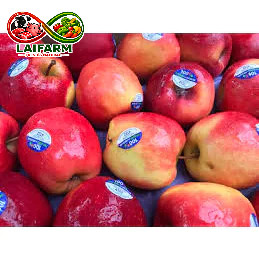 [Laifarm - Hỏa tốc HCM] Táo Gala NewZealand hộp 6 trái 800 g - Hàng nhập khẩu chính ngạch, đầy đủ giấy tờ hóa đơn