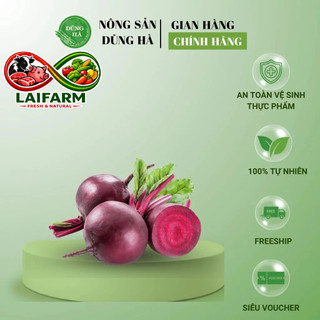 [Laifarm] [Hỏa tốc HN&HCM] CỦ DỀN tươi tuyển chọn, hỗ trợ hệ tuần hoàn, điều hòa huyết áp (SHIP HỎA TỐC)