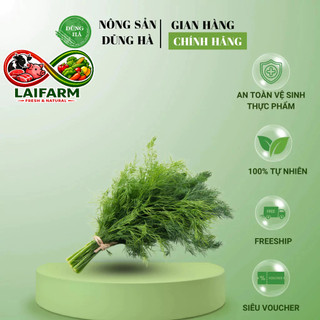 [Laifarm - Hỏa tốc HN] Rau thì là tươi ngon - Rau gia vị, giúp khử mùi tanh trong các món cá,... [Ship hoả tốc]