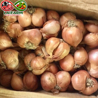 [Laifarm - Hỏa tốc HN] Củ hành khô chọn lọc 1kg - Rau Củ Đà Lạt Deli