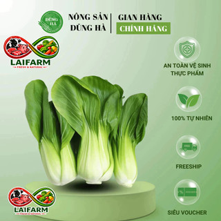 [Laifarm] [Hỏa tốc HCM] CẢI CHÍP tươi ngon - Hàng nhập về mỗi ngày, đảm bảo tươi ngon, chất lượng - Ship hoả tốc