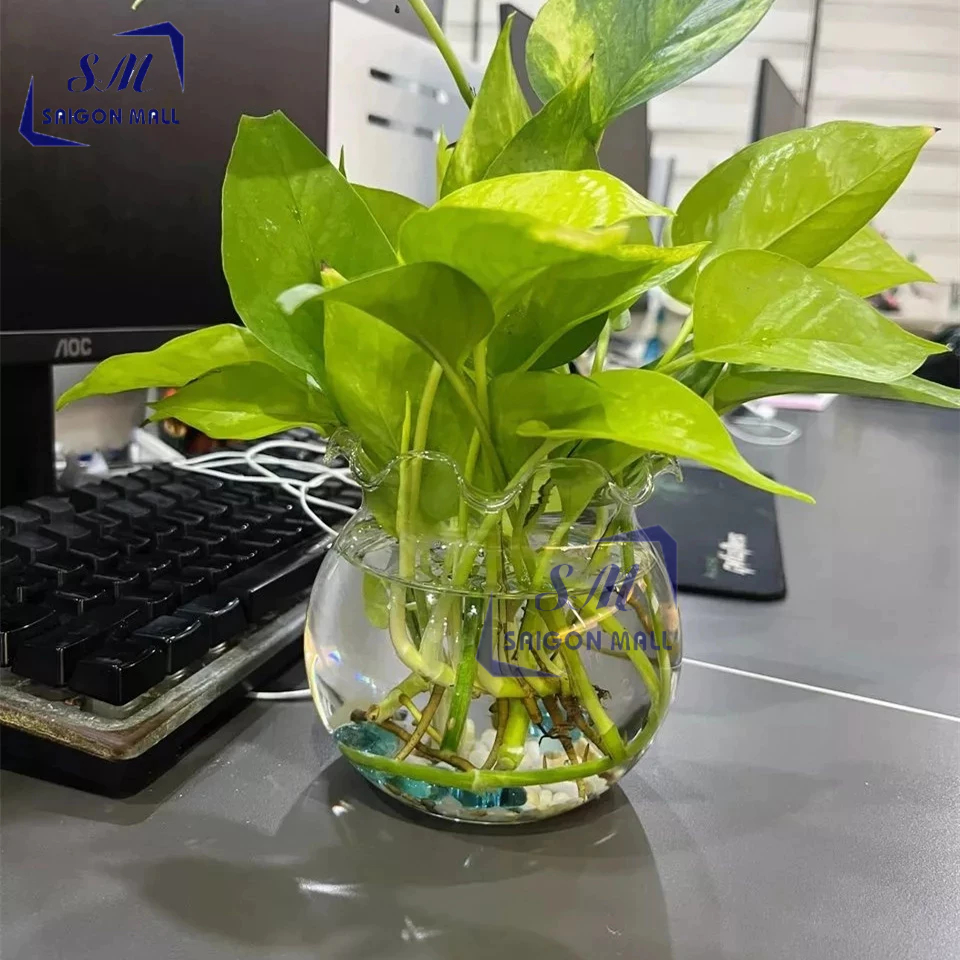 Chậu trồng cây nhỏ mini để bàn B07 / bầu thuỷ tinh B07 / hồ cá mini để bàn