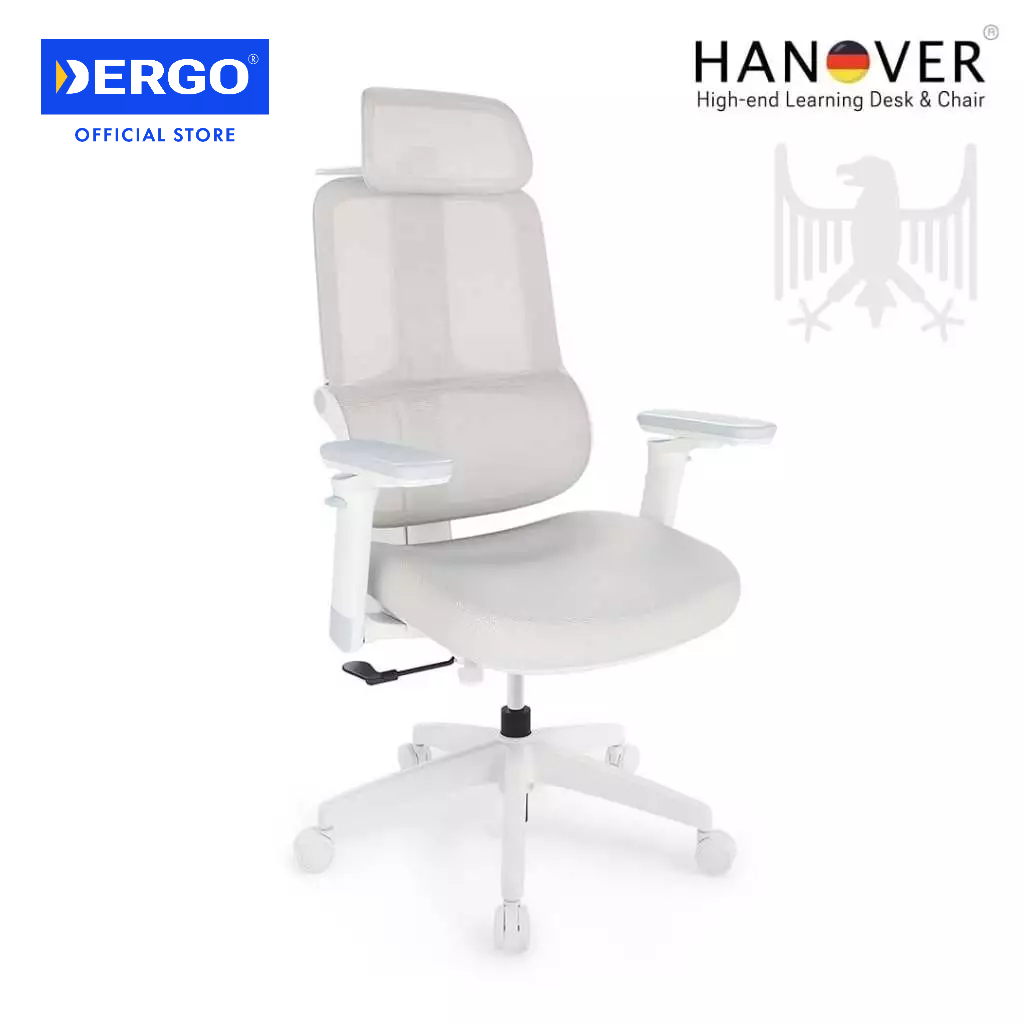 Ghế Chống Gù DERGO Hanover C51 Ghế Ngồi Học Phù Hợp Học Sinh Tuổi Teen Cấp 2, Cấp 3