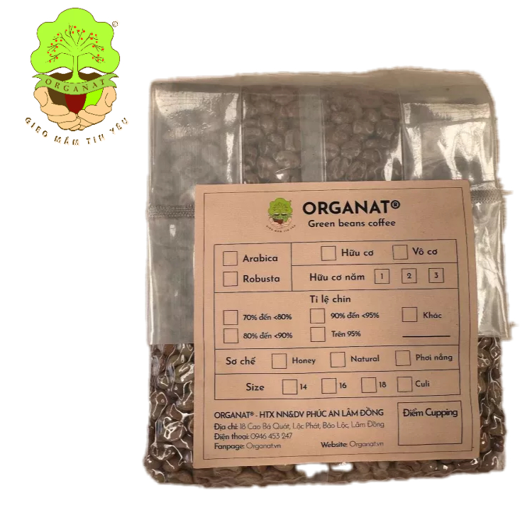 Organat Cafe - Cà Phê Nhân Xanh - Fine Robusta (RFG) 80+, 81+, 82+, 83+, 84+, 85+ Tinh Hoa Hương Vị,