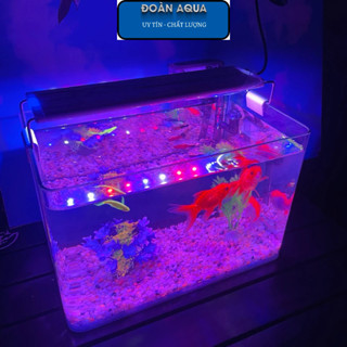 XẢ KHO - GIÁ CHƯA TỪNG CÓ Bể cá mini Đúc uốn cong kích thước 30x18x21 kèm sỏi nền và cây nhựa Siêu rẻ