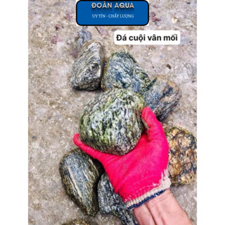 Đá Cuội Vân Mối (1KG) Setup Bể Thuỷ Sinh,Tiểu Cảnh Bán Cạn, Trang Trí Bể Cá Cảnh Siêu Đẹp