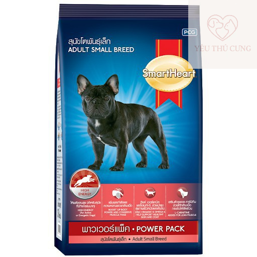 Thức ăn chó giống nhỏ Bull Pháp