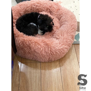 Đệm nằm chó mèo, ổ nằm lông tròn mềm mại cao cấp có size 40cm 50cm 60cm