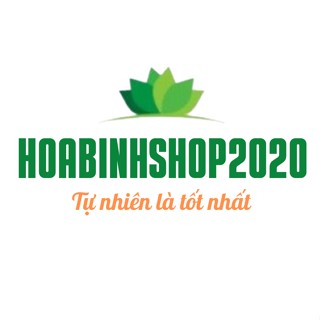 HOABINHSHOP2020