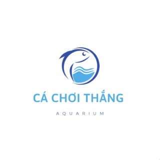 Cá Chơi Thắng