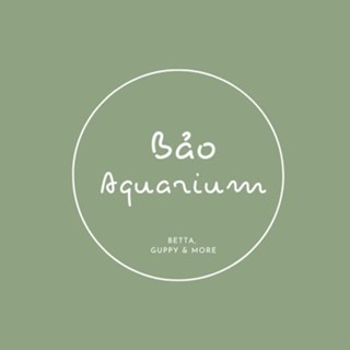 BẢO AQUA