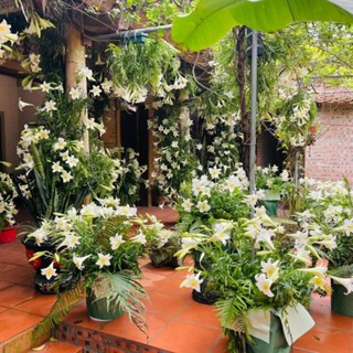 linh kien may chu 122a